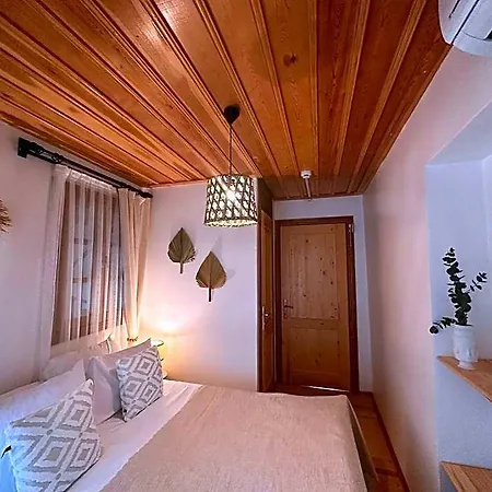 Hanole Ayvalı
